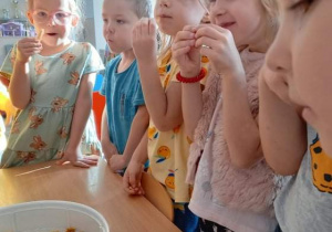 Dzieci z gr. II podczas wykonywania zdrowej przekąski - suszonych jabłek