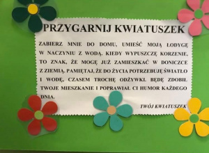 Akcja "Przygarnij kwiatuszek"