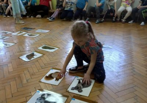 Dziewczynka układa obrazek ze zwierzęciem w odpowiednim miejscu na podłodze.