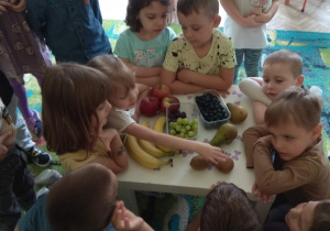 Dzieci nazywają i przeliczają owoce ułożone na stoliczku: banany, kiwi, jabłka, gruszki, kiście winogron i borówki.
