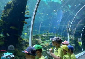 Dzieci podziwiają ryby w akwarium.