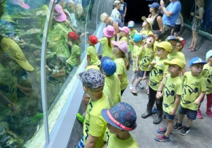 Dzieci podziwiają ryby w akwarium.