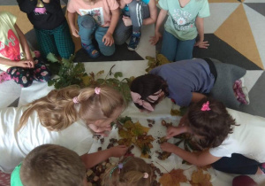 Dzieci grupują dary jesieni.