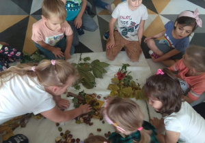 Dzieci dobierają w pary owoce i liście pochodzące z jednego drzewa.