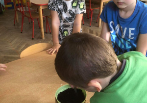 Dzieci sadzą dąb i buk.
