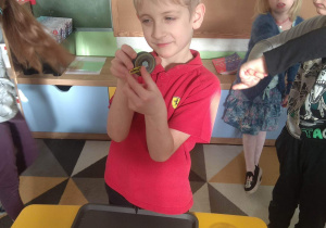 Chłopiec sprawdza działanie magnesu na spinaczach biurowych.