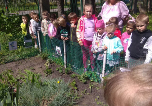Dzieci podziwiają ogródek z nowo zasadzonymi roślinami.