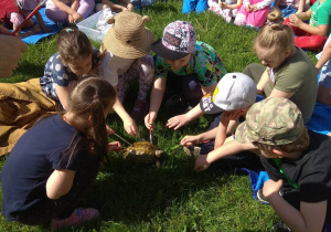 Dzieci smarują skorupę żółwia witaminą nałożoną na pędzelki.