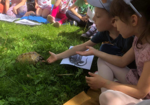 Dzieci obserwują zachowanie żółwia.