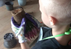 Chłopiec wyjmuje roślinkę z doniczki, by przesadzić ją do osłonki.