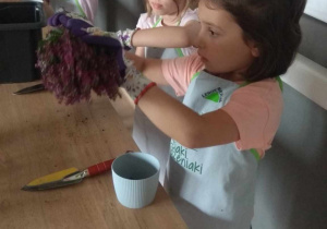 Dziewczynki wyjmują rośliny z zamałych doniczek.