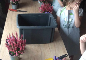 Dzieci ustawiają się przy stanowiskach przesadzania roślin.