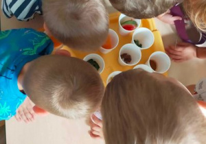 Dzieci odgadują produkty spożywcze ukryte w kubeczkach.