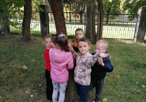 Dzieci dotykają korę drzewa.