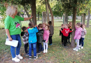 Dzieci obserwują drzewa.
