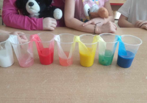 Dzieci obserwują wędrujące kolory z kubka do kubka.