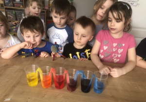 Dzieci obserwują eksperyment.