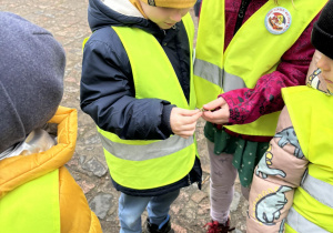 Dzieci oglądają rośliny znalezione w lesie.