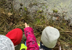 Dzieci oglądają skrzek żaby błotnej.