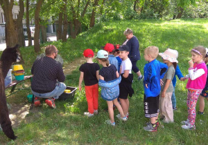 Dzieci podchodzą do opiekuna alpak i biorą wiaderka z karmą.