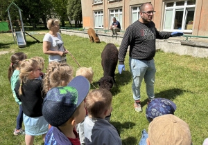 Dzieci słuchają pogadanki o alpakach.