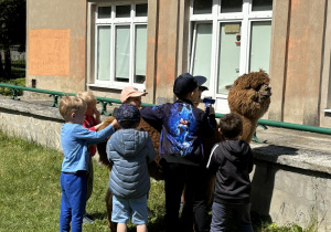 Dzieci karmią i wyczesują alpaki.