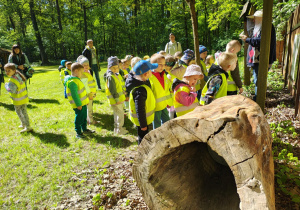Dzieci słuchają ciekawostek o pszczołach