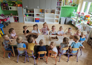 Dzieci siedzą przy stole, na którym ustawiono pojemniki z szyszkami, kamieniami i orzechami.
