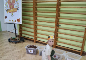 Dzieci segregują dary jesieni.