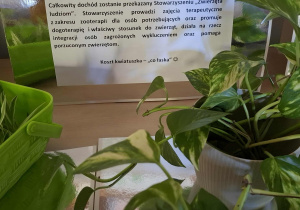 Kwiaty oraz opis akcji charytatywnej.