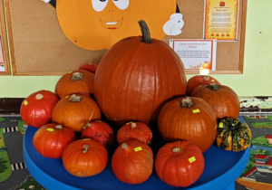 Na stoliku leżą dynie.