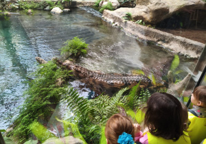 Dzieci podczas zwiedzania orientarium.