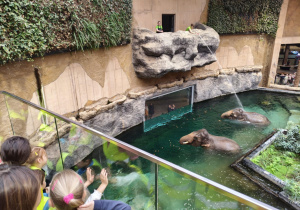 Dzieci podczas zwiedzania orientarium.