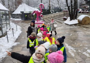Grupa czerwona spaceruje po zoo.