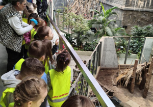 Dzieci podczas zwiedzania orientarium.