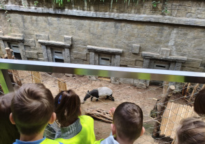 Dzieci podczas zwiedzania orientarium.