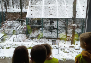 Dzieci podziwiają rysia.