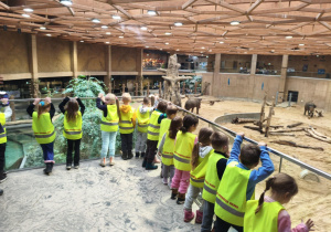 Dzieci podczas zwiedzania orientarium.