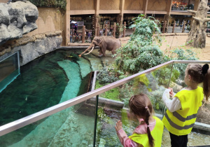 Dzieci podczas zwiedzania orientarium.