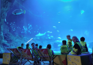 Dzieci podczas zwiedzania orientarium.