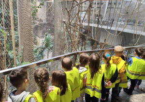 Dzieci podczas zwiedzania orientarium.