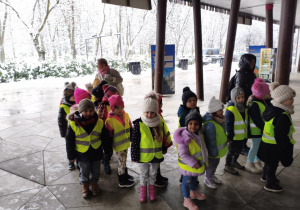 Grupa czerwona przed wejściem do zoo.