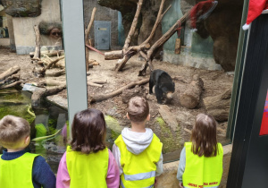 Dzieci podczas zwiedzania orientarium.