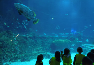 Dzieci podczas zwiedzania orientarium.