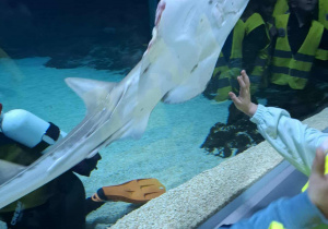 Dzieci zwiedzają łódzkie Orientarium.