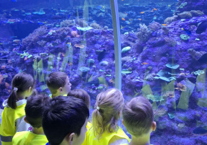 Dzieci zwiedzają łódzkie Orientarium.