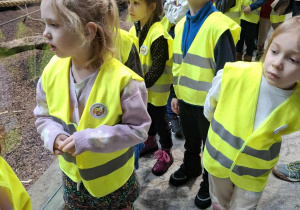 Dzieci zwiedzają łódzkie Orientarium.