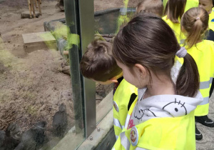 Dzieci zwiedzają łódzkie Orientarium.