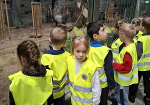 Dzieci zwiedzają łódzkie Orientarium.