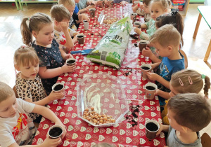 Dzieci nasypały ziemi do pojemników.